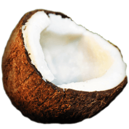 Coconut